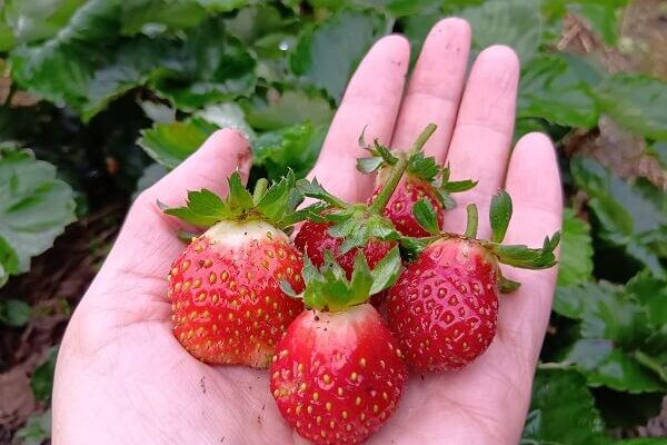 天候に振り回される中、プチいいことが嬉しい♪