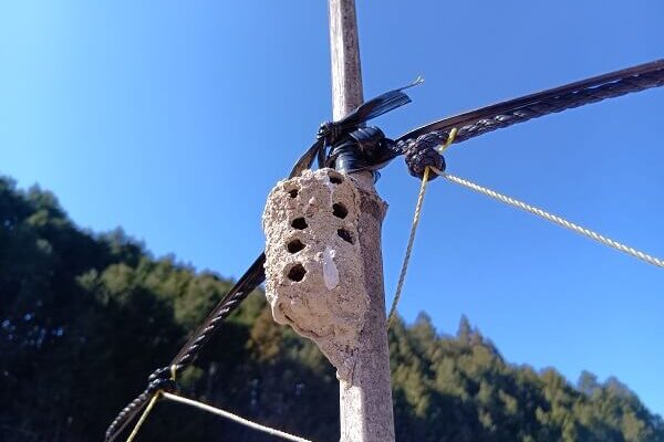 素朴で趣のあるドロバチの巣