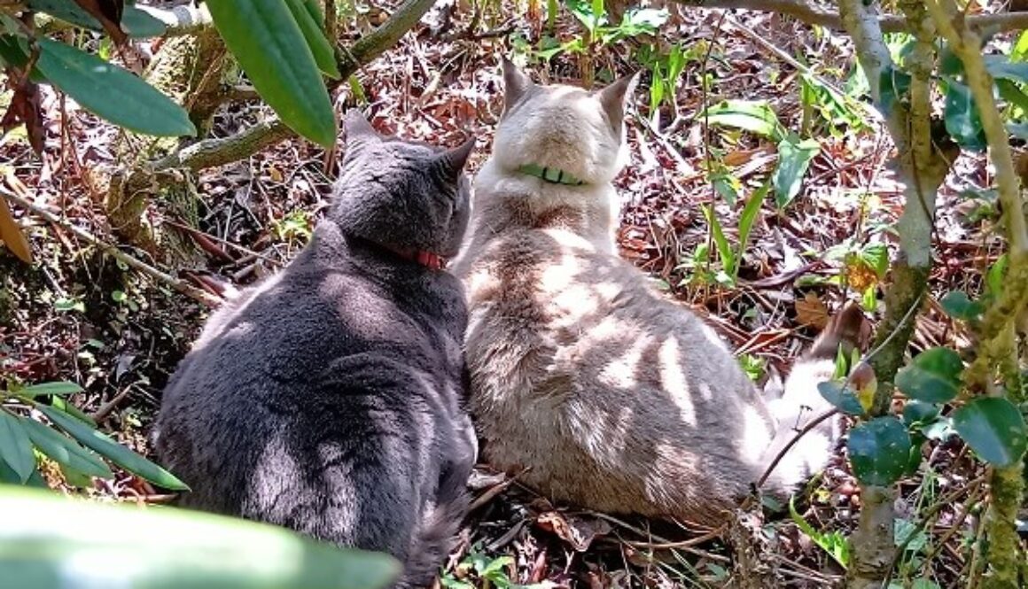 チビ達が心健やかにいてくれることが元気の源