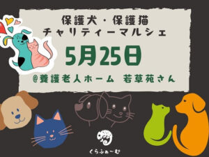5月25日は保護犬 & 猫チャリティーマルシェ「プアプ」