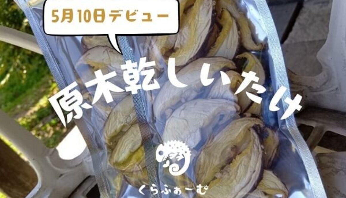 原木乾しいたけ、週末のイベントでデビュー