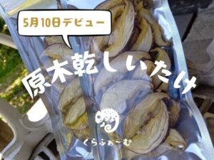 原木乾しいたけ、週末のイベントでデビュー