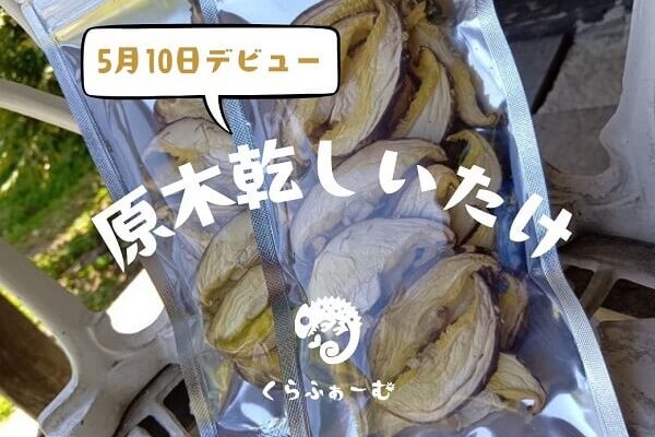 原木乾しいたけ、週末のイベントでデビュー
