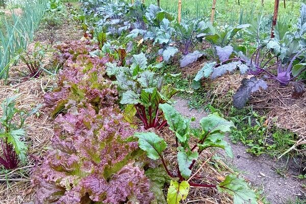 私にとって一番居心地のいい場所をパシャリ