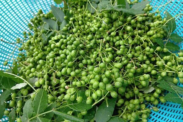 この時期のみの贅沢を味いたいなら実山椒