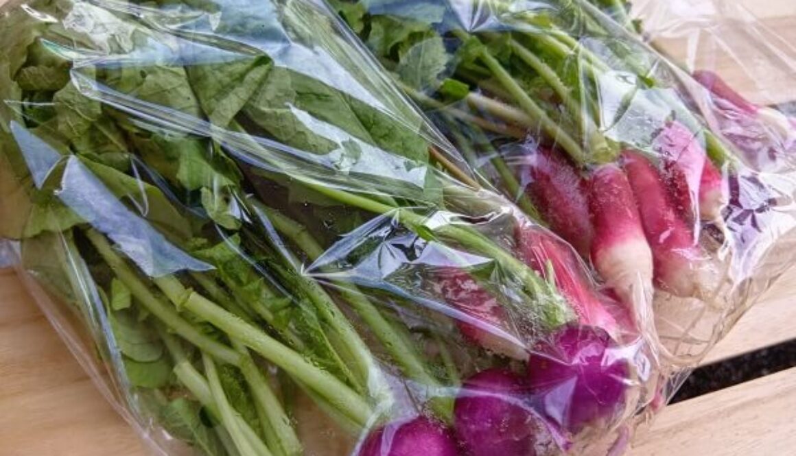 葉っぱも栄養たっぷりなカラフル・ラディッシュ 葉っぱも栄養たっぷりなカラフル・ラディッシュ