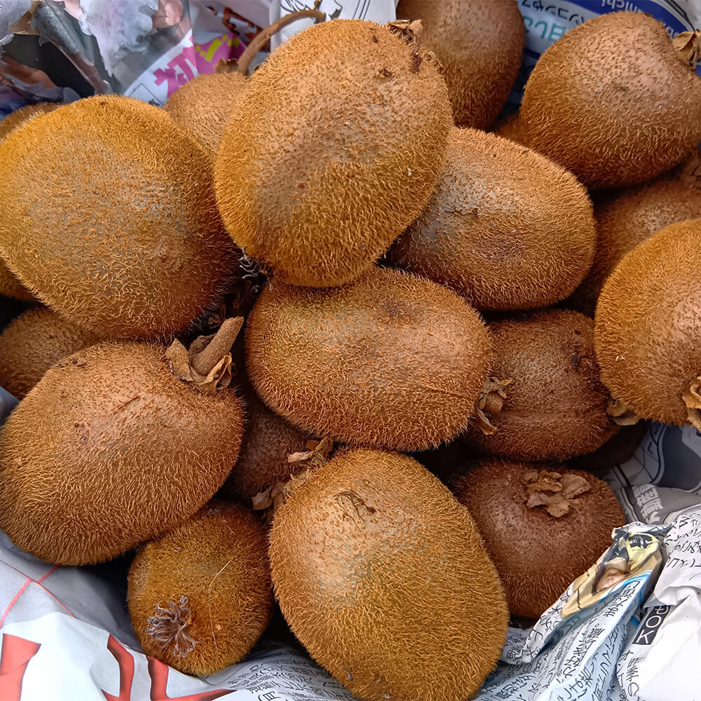 ドライキウイ - 画像 (2)