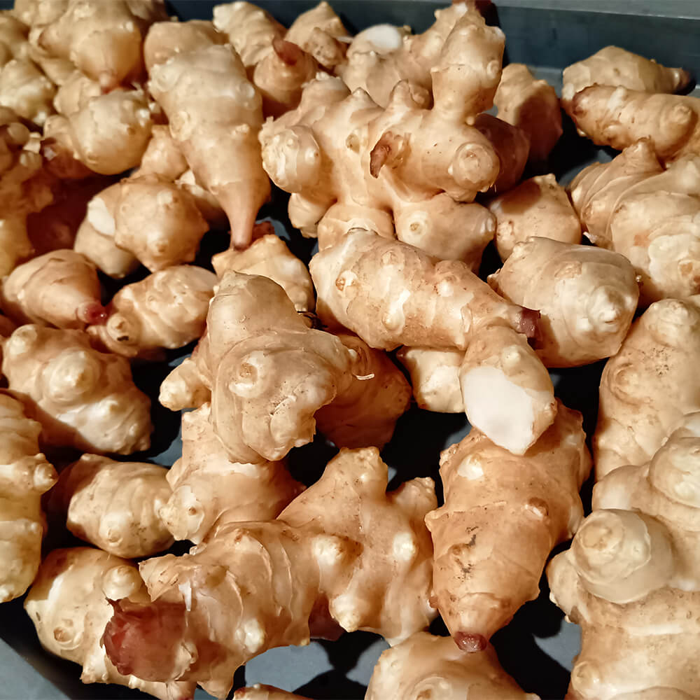 菊芋チップス - 画像 (2)