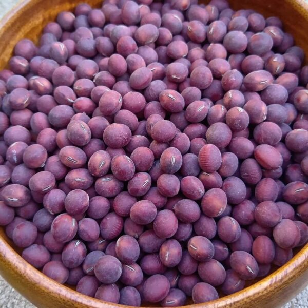 赤豆 200g｜ホクホクで栄養たっぷりの希少な赤大豆