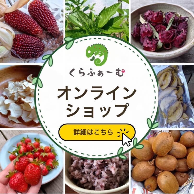 寒くても元気モリモリのマイちゃん