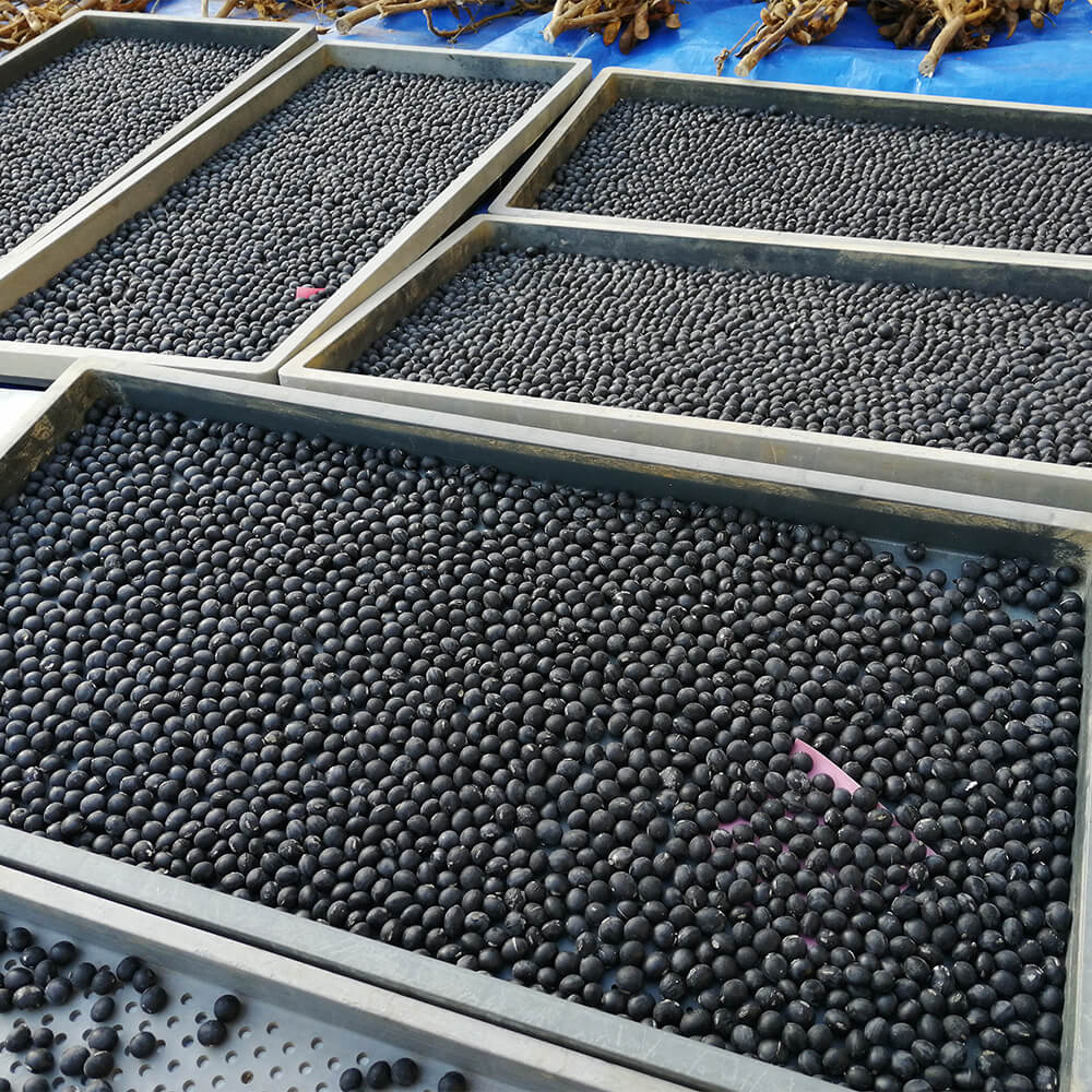 黒豆(丹波種) 200g|豊富な栄養が丸ごと摂れる黒大豆 - 画像 (3)