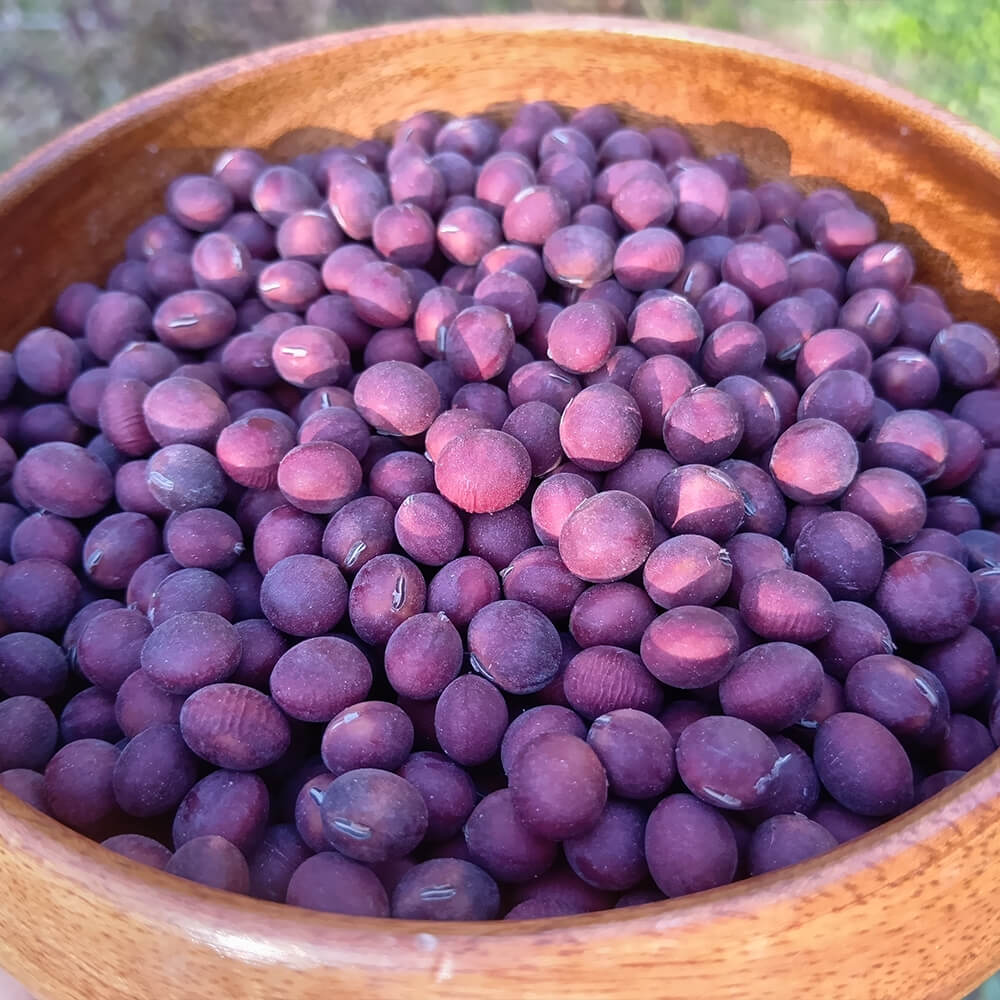 赤豆 200g｜ホクホクで栄養たっぷりの希少な赤大豆