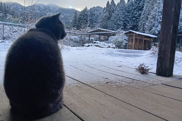 ある雪の日の朝＠くらふぁーむ